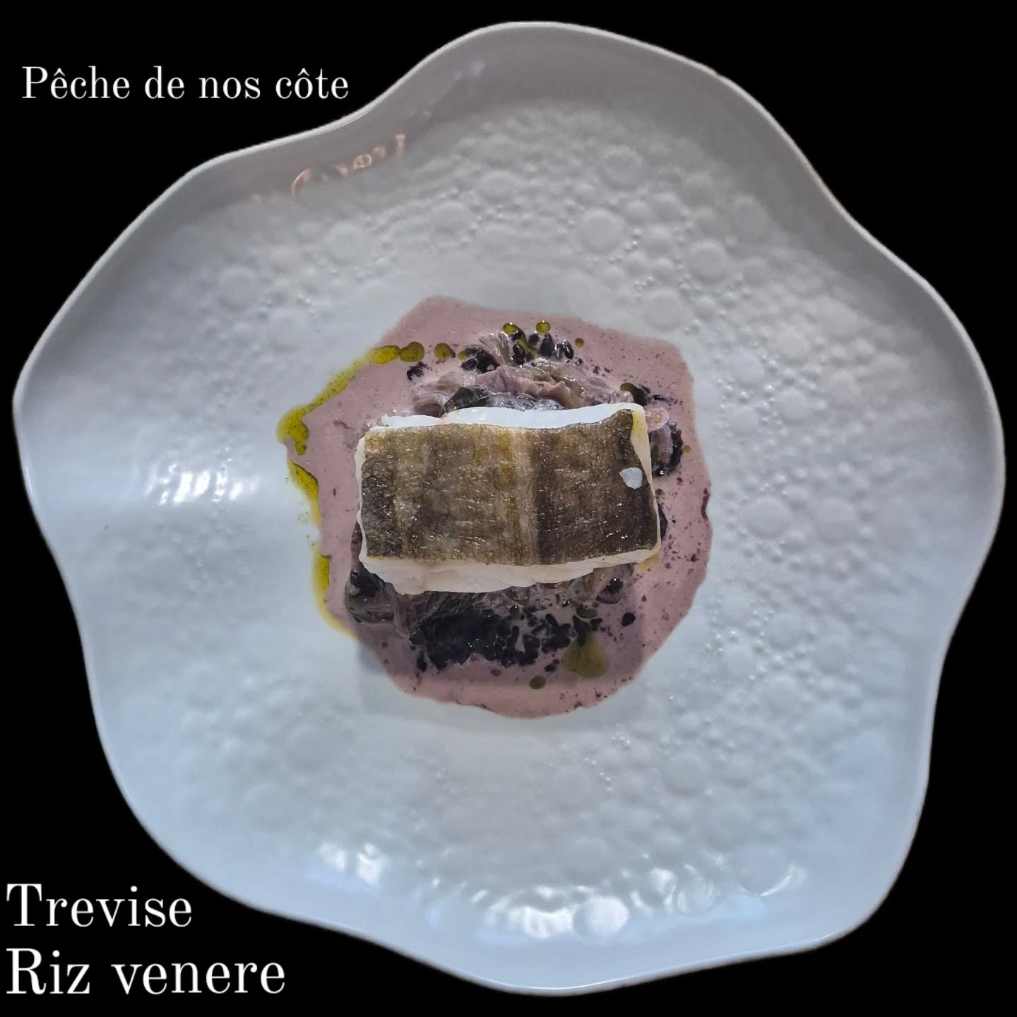 trevise_riz_venere